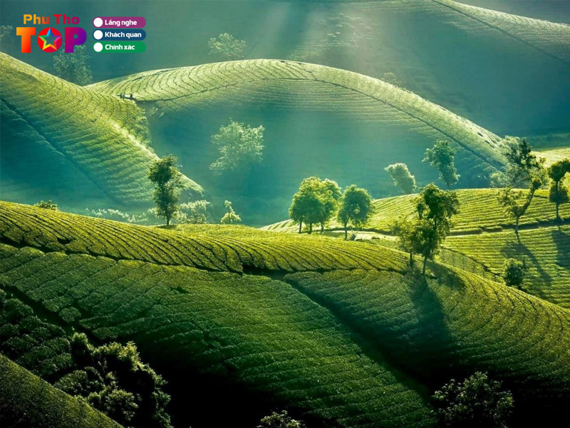 cac-trai-nghiem-thu-vi-tai-doi-che-long-coc-phuthotoplist