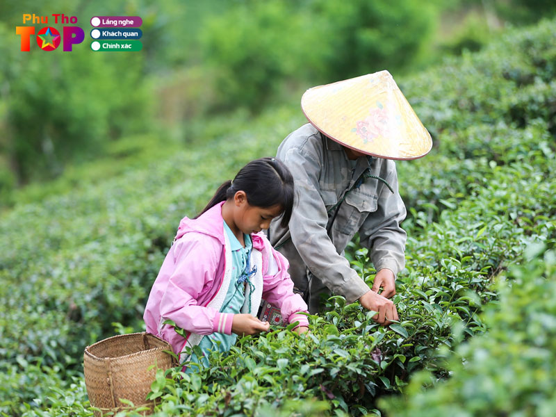 dac-san-lam-qua-khi-di-du-lich-tai-doi-che-long-coc-phuthotoplist