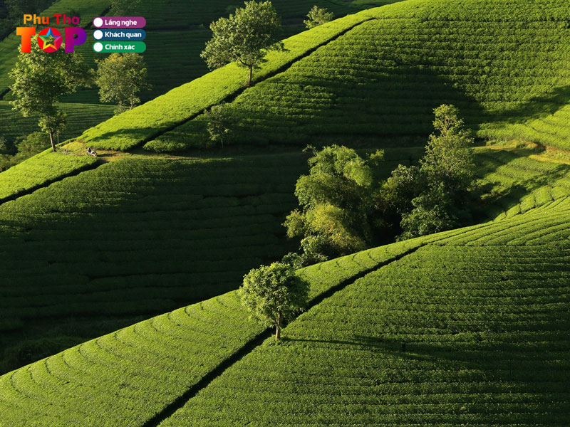 doi-net-ve-doi-che-long-coc-phuthotoplist