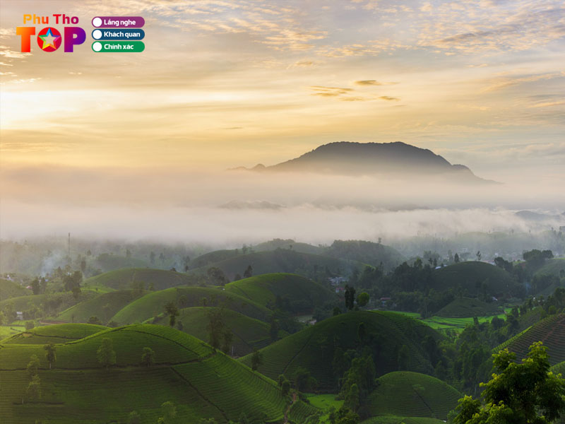 thoi-diem-di-doi-che-long-coc-thich-hop-nhat-phuthotoplist