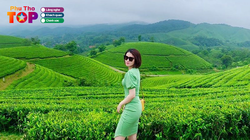 top-20-dia-diem-du-lich-phu-tho-dep-nen-trai-nghiem-phuthotoplist