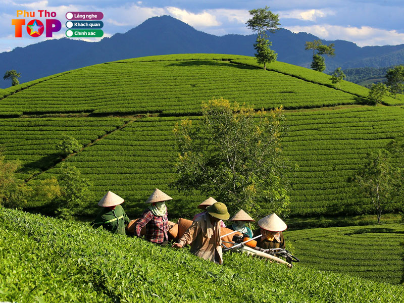 bai-ca-dao-ve-vung-dat-phu-tho-phuthotoplist