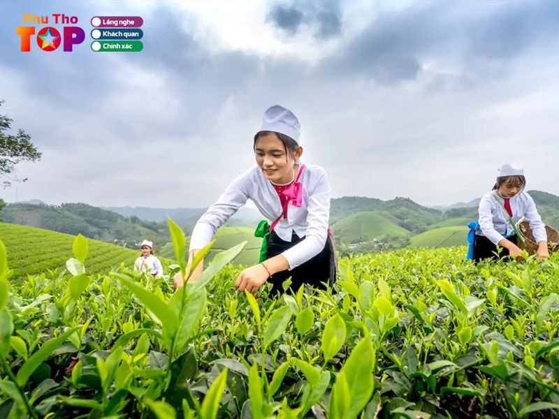 co-gai-hai-che-phuthotoplist