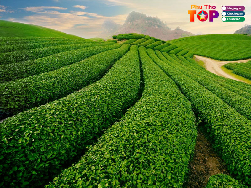 nen-di-du-lich-phu-tho-thoi-gian-nao-phuthotoplist