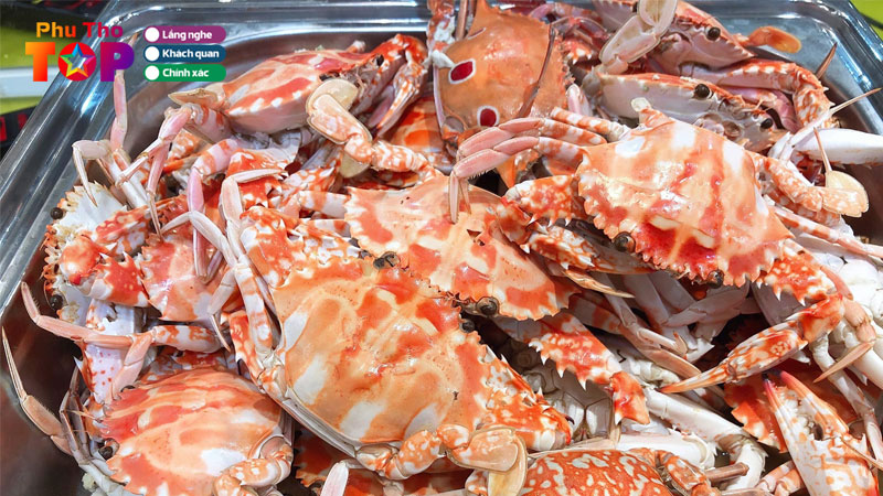 An-cua-ghe-o-dau-ngon-re-phu-tho-top-5-dia-chi-noi-tieng-phuthotoplist