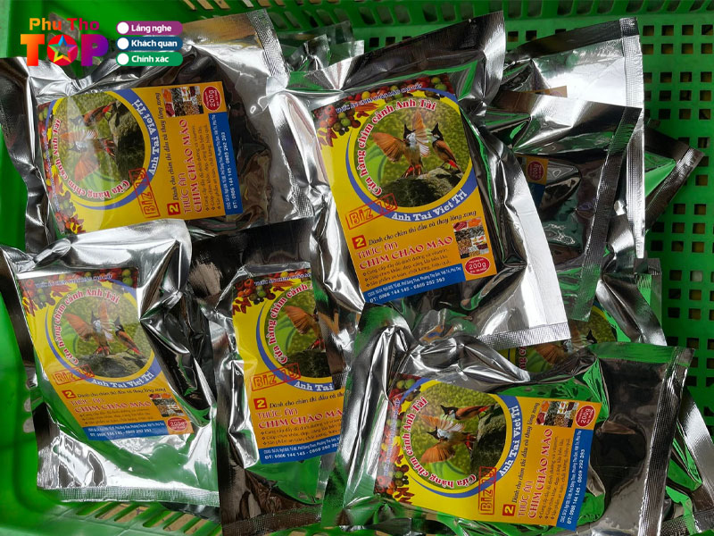 Chim-canh-anh-tai-viet-tri-phuthotoplist