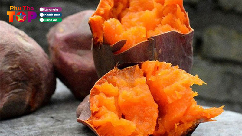 Top-5-dia-chi-ban-khoai-lang-mat-phu-tho-thom-ngon-gia-tot-phuthotoplist