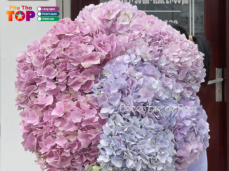 Decembre-de-fleur-tiem-hoa-thang-12-phuthotoplist