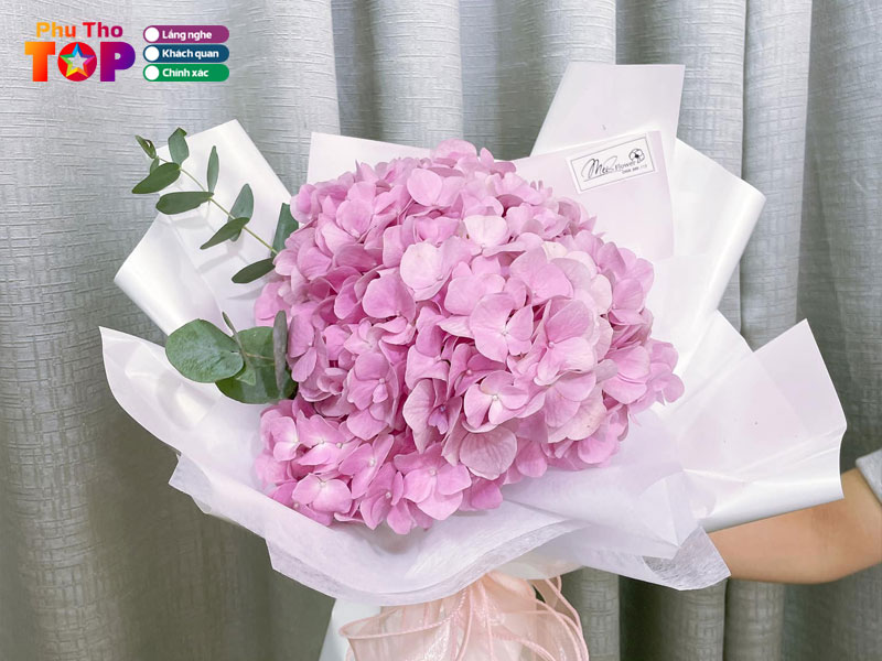 Mei-flower-hoa-cam-tu-cau-phu-tho-phuthotoplist