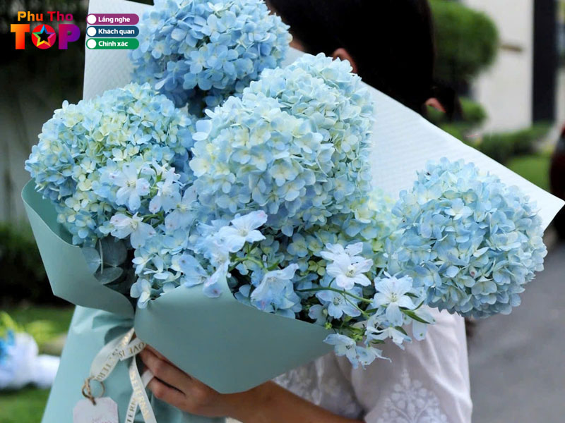 Meo-lua-chon-va-cham-soc-hoa-cam-tu-cau-tu-dan-dia-phuong-phuthotoplist