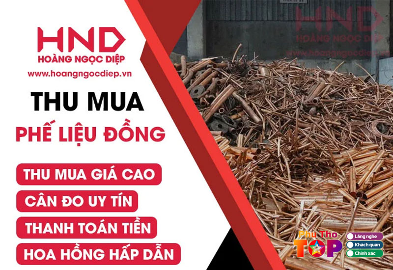 Hoang-ngoc-diep-don-vi-thu-mua-phe-lieu-dong-duoc-nhieu-khach-hang-tin-tuong-phuthotoplist