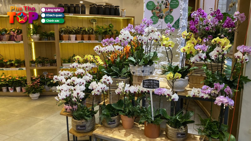 Top-5-cua-hang-ban-hoa-lan-o-phu-tho-gia-tot-de-cham-phuthotoplist