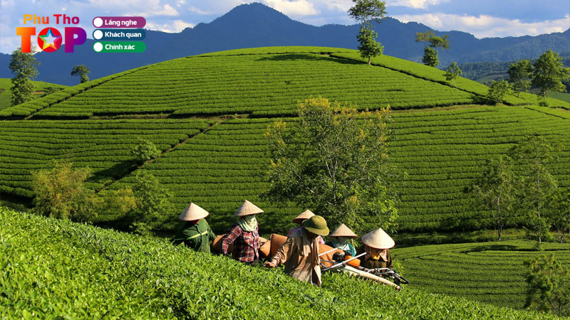 Top-5-doi-che-o-phu-tho-canh-dep-nhu-tranh-it-nguoi-biet-phuthotoplist
