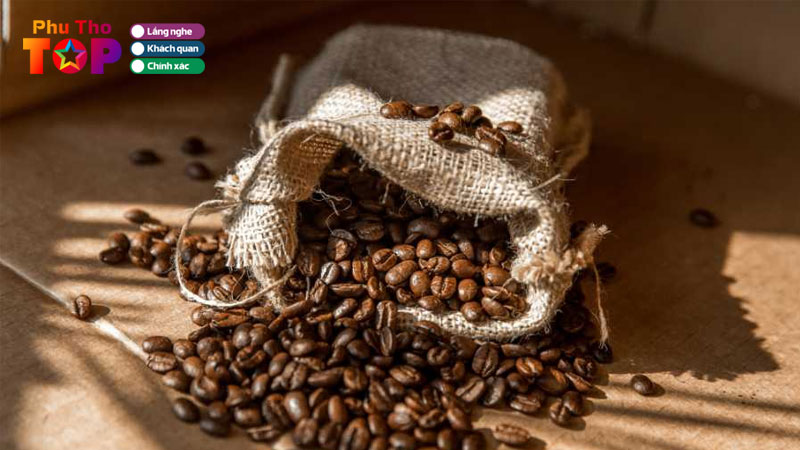 Top-5-don-vi-ban-hat-cafe-o-phu-tho-gia-tot-cuc-thom-phuthotoplist