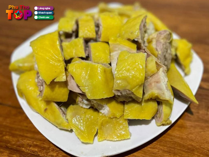 Cau-hoi-thuong-gap-ve-ga-u-muoi-tai-phu-tho-phuthotoplist