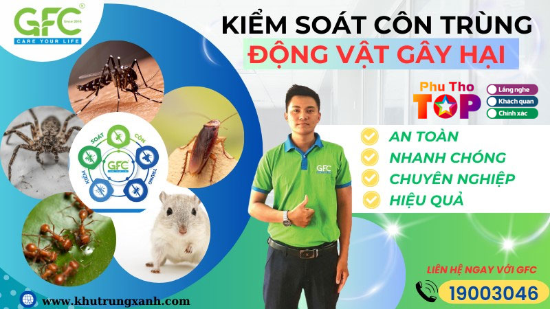Khu-trung-xanh-phuthotoplist