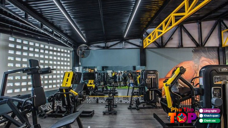 Nhung-danh-muc-bai-viet-noi-bat-cua-review-the-thao-phuthotoplist