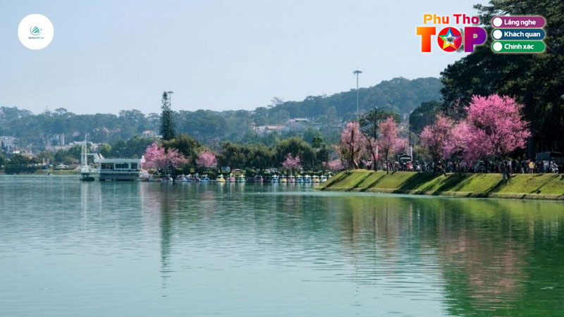 Review-da-lat-goi-y-nhung-dia-diem-du-lich-da-lat-thu-vi-phuthotoplist