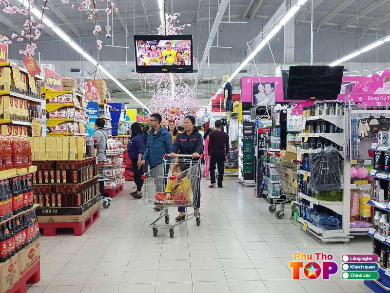 Go-viet-tri-phuthotoplist