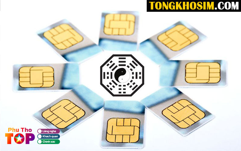 Sim-luc-quy-giua-la-gi-1-phuthotoplist