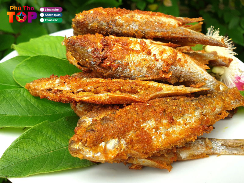 Cau-hoi-thuong-gap-ve-dac-san-ca-thinh-phu-tho-phuthotoplist