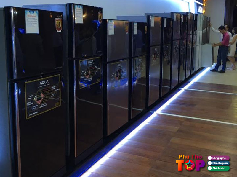 Dien-may-thanh-nga-phuthotoplist