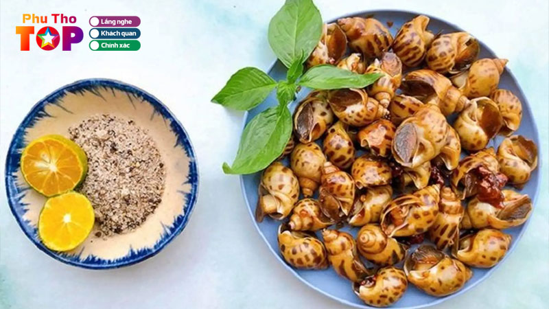 Top-5-dia-chi-an-oc-huong-tai-phu-tho-tuoi-ngon-gia-re-phuthotoplist