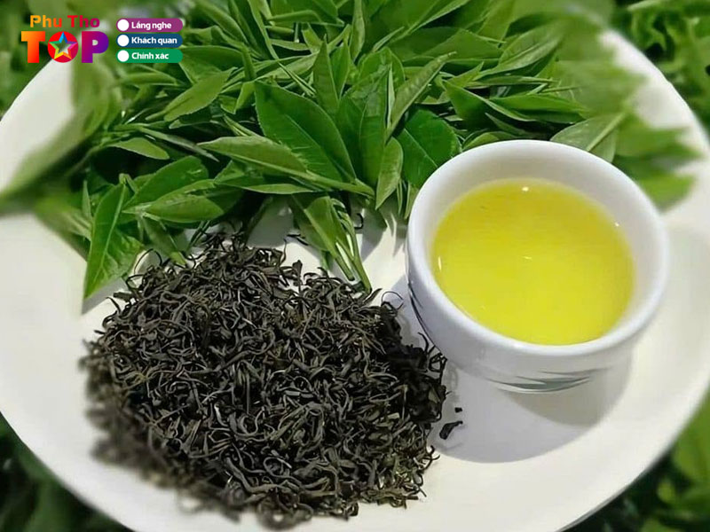 Huong-dan-lua-chon-va-meo-thuong-tra-tu-dan-ban-dia-phuthotoplist