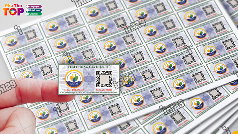 Top-5-don-vi-in-tem-chong-hang-gia-o-phu-tho-uy-tin