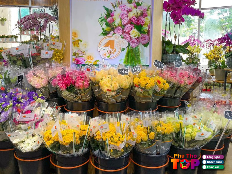 Dollar-flower-phuthotoplist