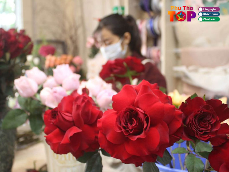 Phan-anh-flower-phuthotoplist