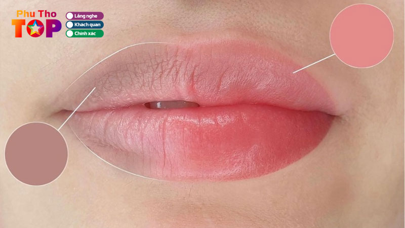 Top-10-dia-chi-khu-tham-moi-tai-phu-tho-dep-len-mau-tu-nhien-phuthotoplist