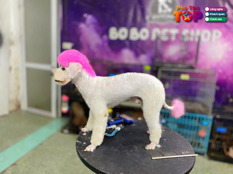 Bobo-pet-shop-phuthotoplist