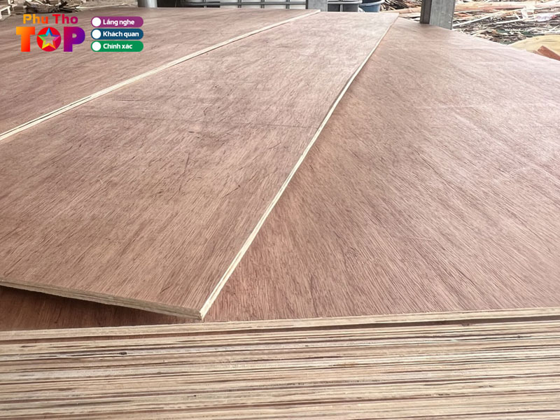 Cong-ty-van-ep-lam-bao-phuthotoplist