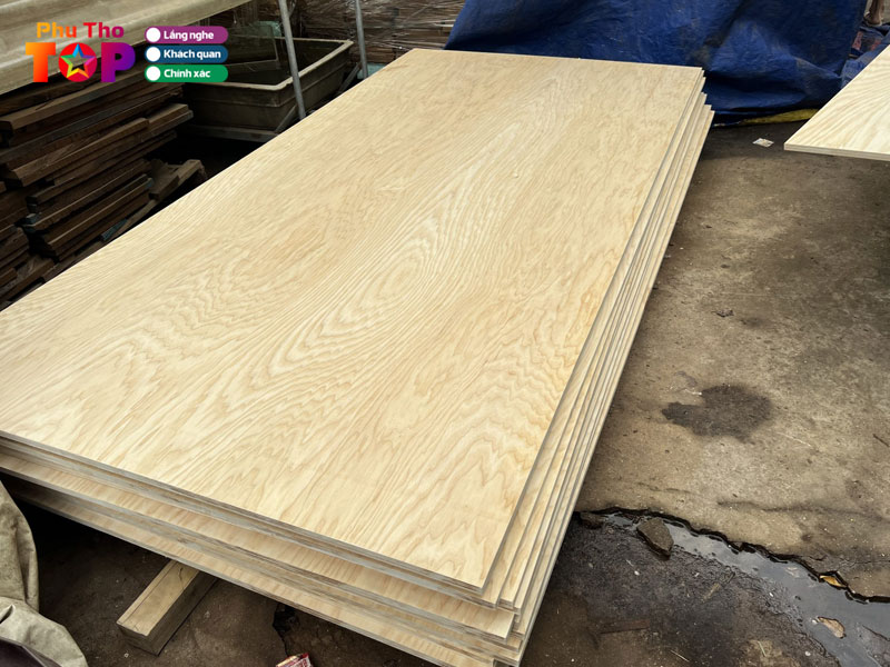 Cong-ty-van-ep-phuc-lam-phuthotoplist