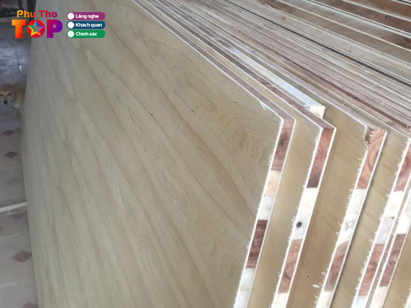 Cong-ty-van-ep-tri-khoi-phuthotoplist