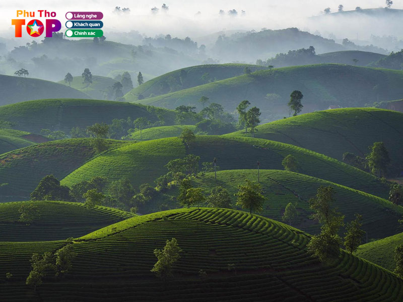 Doi-che-long-coc-phuthotoplist