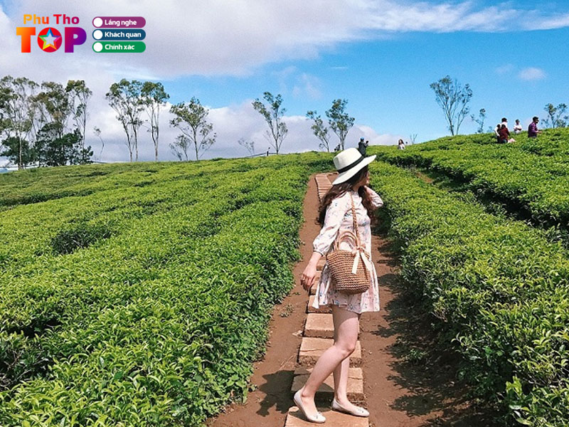 Doi-che-long-coc-phuthotoplist