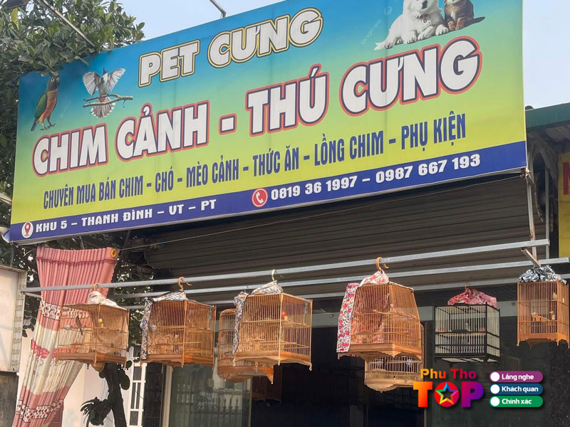 Pet-cung-phuthotoplist