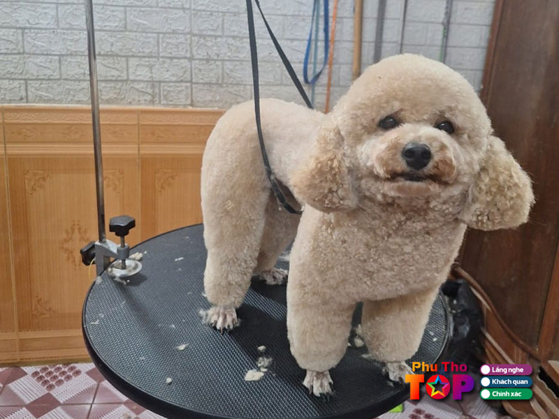 Phong-kham-thu-y-tan-hung-phuthotoplist