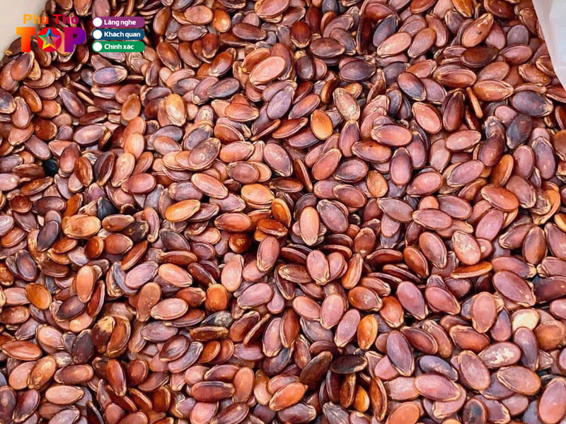 Sieu-thi-aloha-phuthotoplist