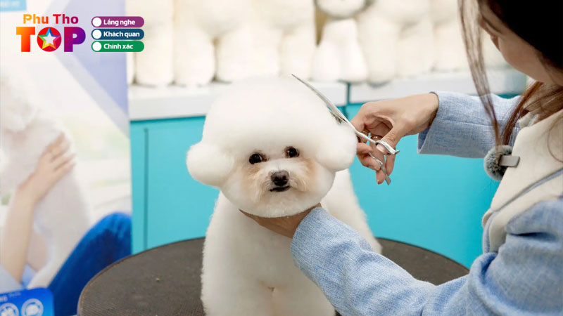 Top-10-dia-chi-cat-tia-long-cho-o-phu-tho-dich-vu-tan-tam-gia-tot-phuthotoplist