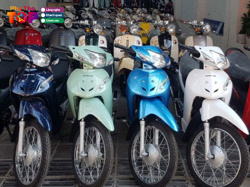 Cam-do-ly-hung-phuthotoplist