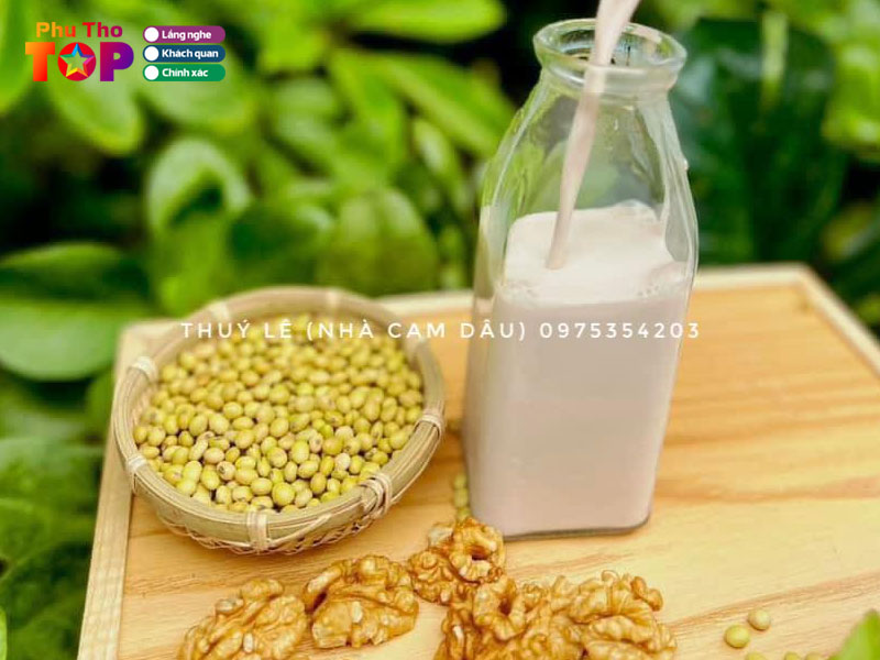 Nha-cam-dau-phuthotoplist