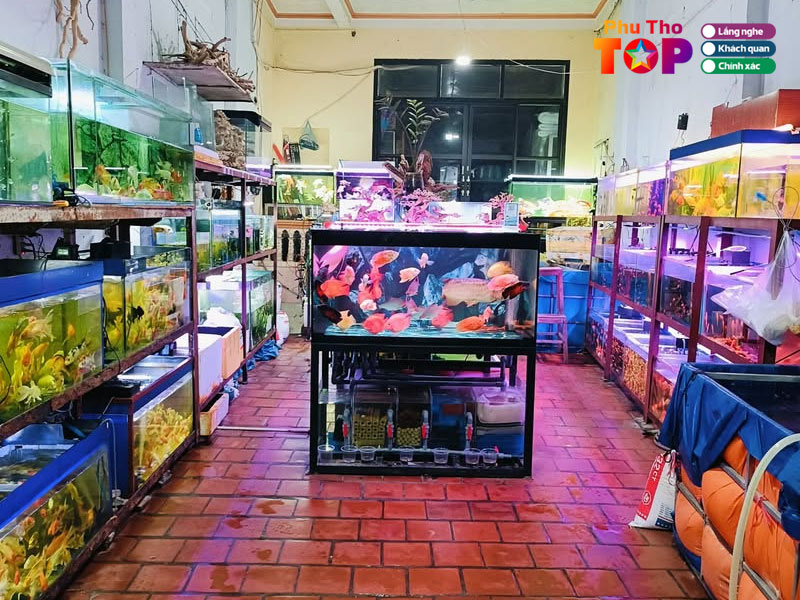 Ca-canh-hoa-anh-phuthotoplist
