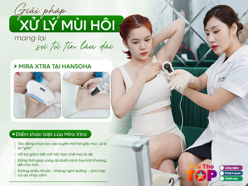 Vien-tham-my-hansoha-phuthotoplist