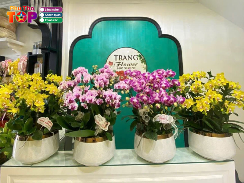 Trang-flower-phuthotoplist